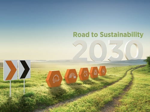 road to sustainability.jpg
